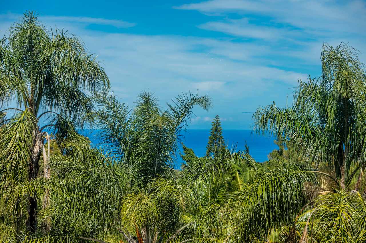 Sanctuary master suite upstairs: ocean view