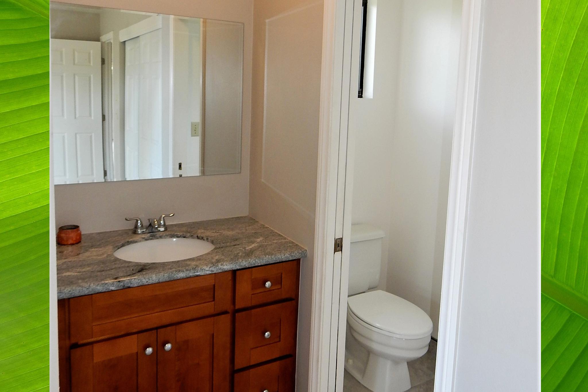 Main house - Ensuite Bathroom off Master