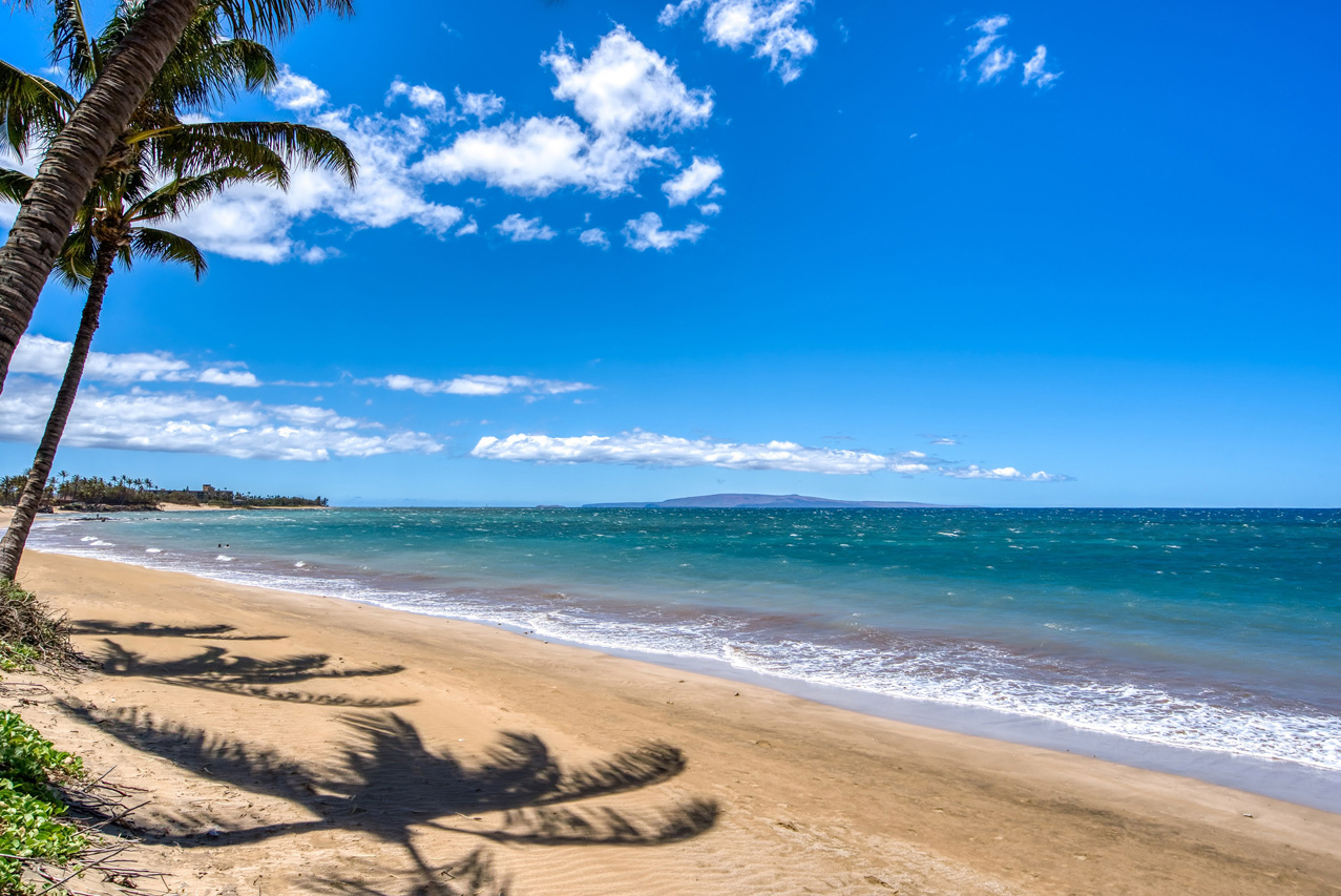 Close to a great sandy beach: 