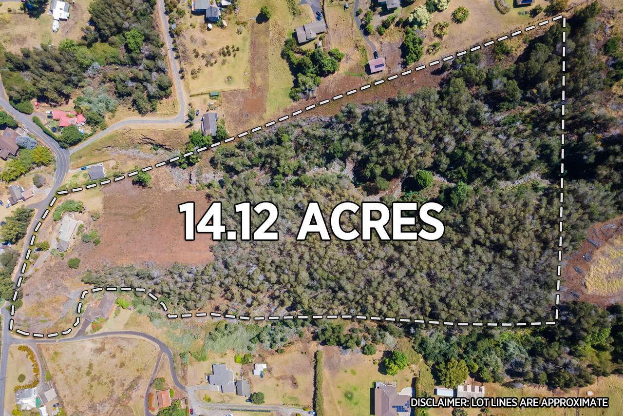 14 Acres of Land: 