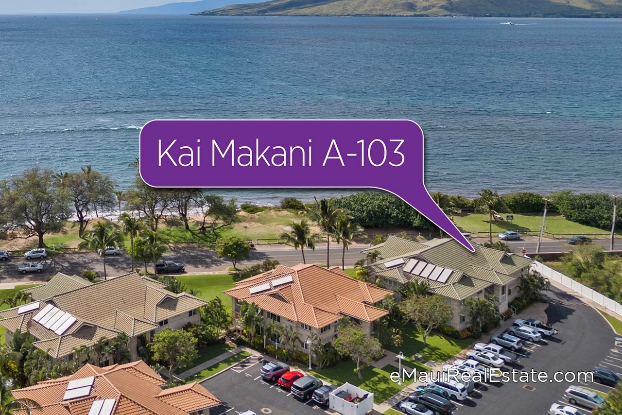 kai makani a103 sold by the Sayles Team
